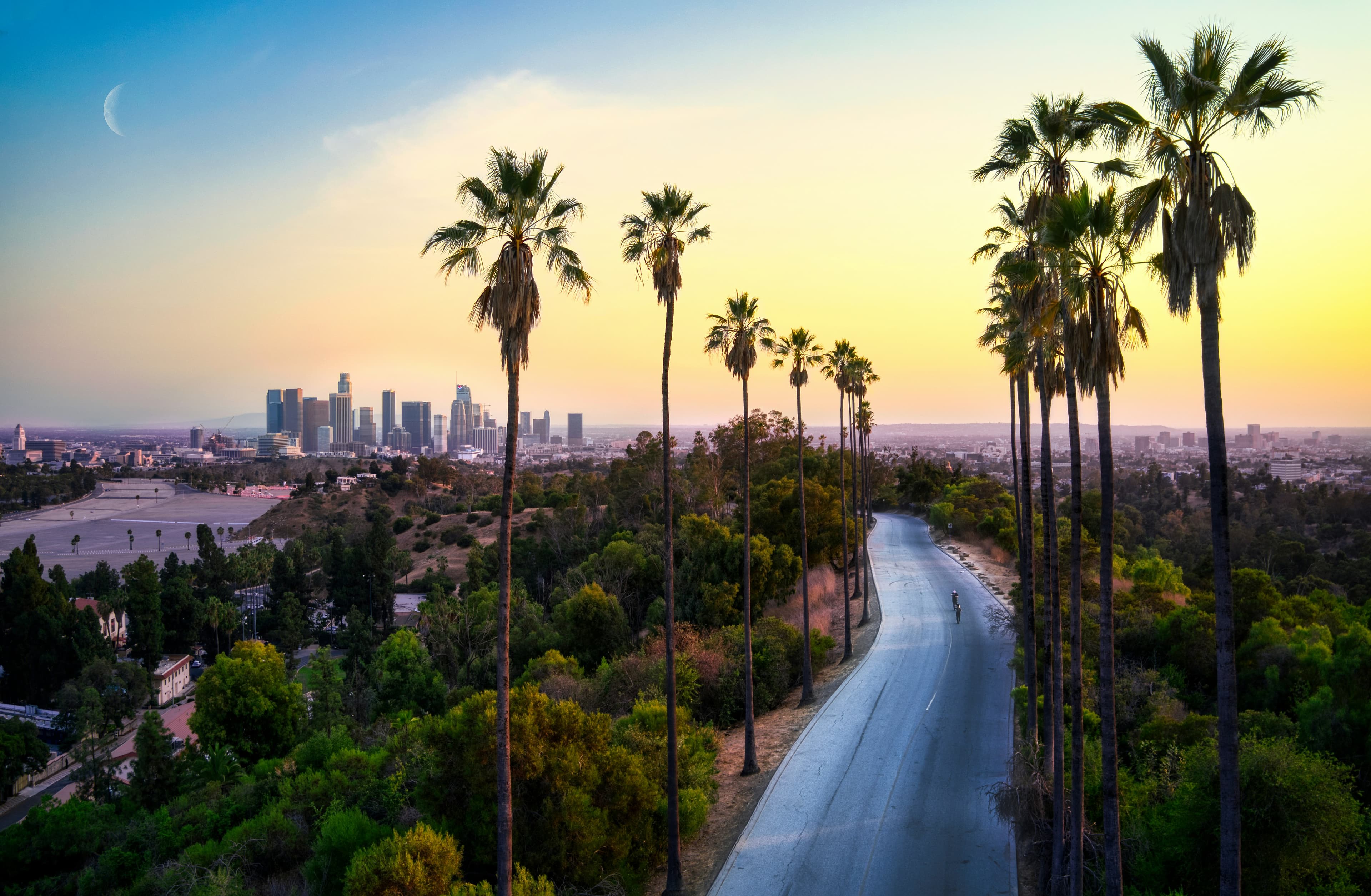Los Angeles palm trees and skyline