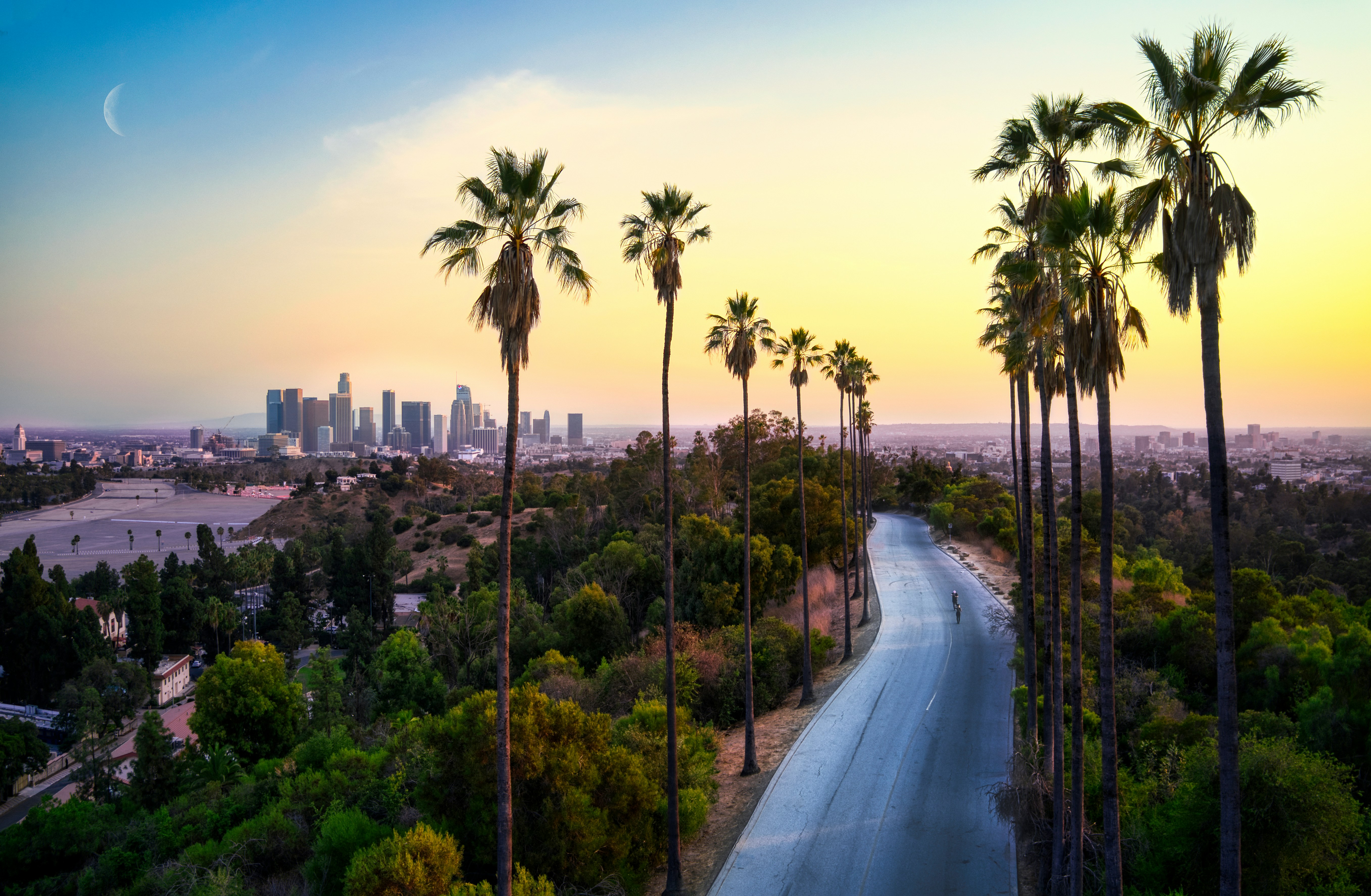 Los Angeles palm trees and skyline